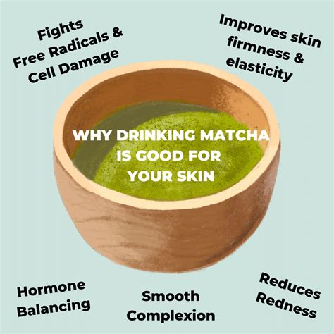 The Matcha Difference: Understanding the Distinct Taste of Green Tea Powder